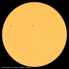 SDO/HMI Continuum Image of the Sun